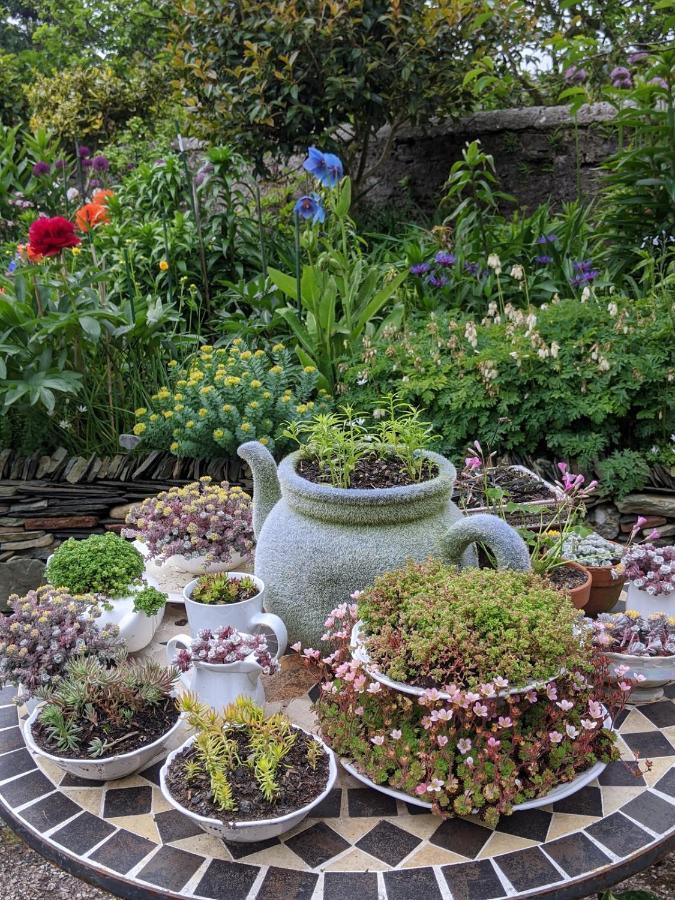 Drumfearne Guesthouse & Tearoom Carradale Экстерьер фото